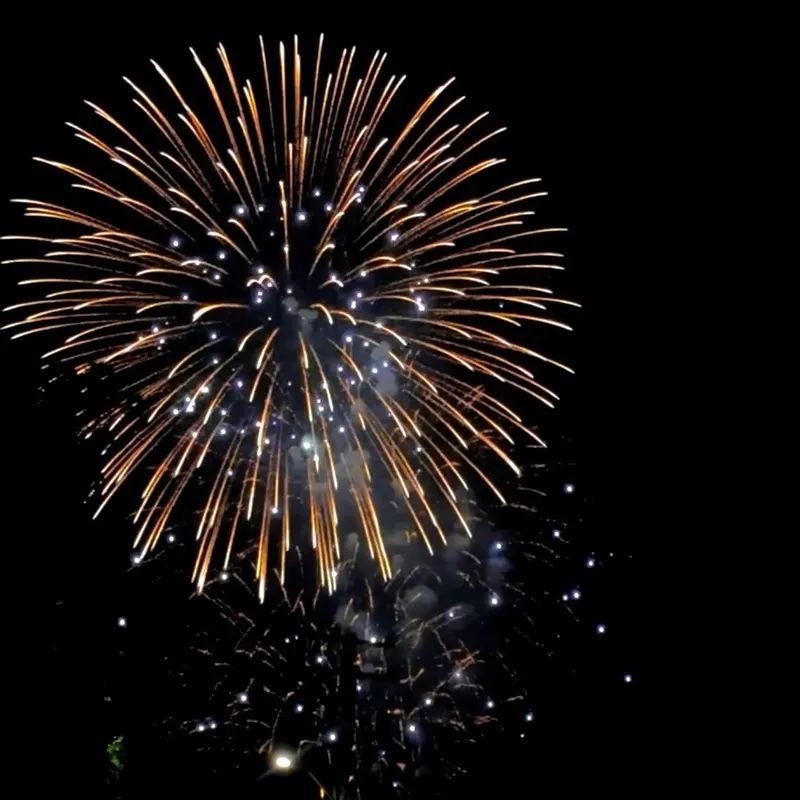 Golden compound fireworks burst in night sky